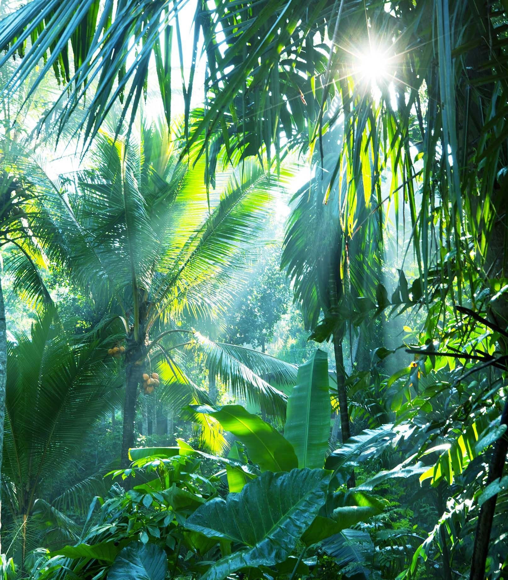 3D Green Tropical Rainforest Quilt Cover Set Bedding Set Pillowcases 103- Jess Art Decoration