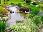 3D River Grass Floral Wall Mural Wallpaper LQH 272- Jess Art Decoration