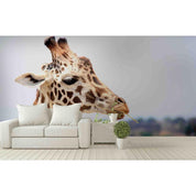 3D Giraffe Feature wall mural Wallpaper 12- Jess Art Decoration