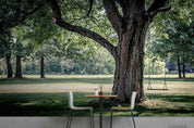 3D Woods Big Tree Park Wall Mural Wallpaper SWW2405- Jess Art Decoration