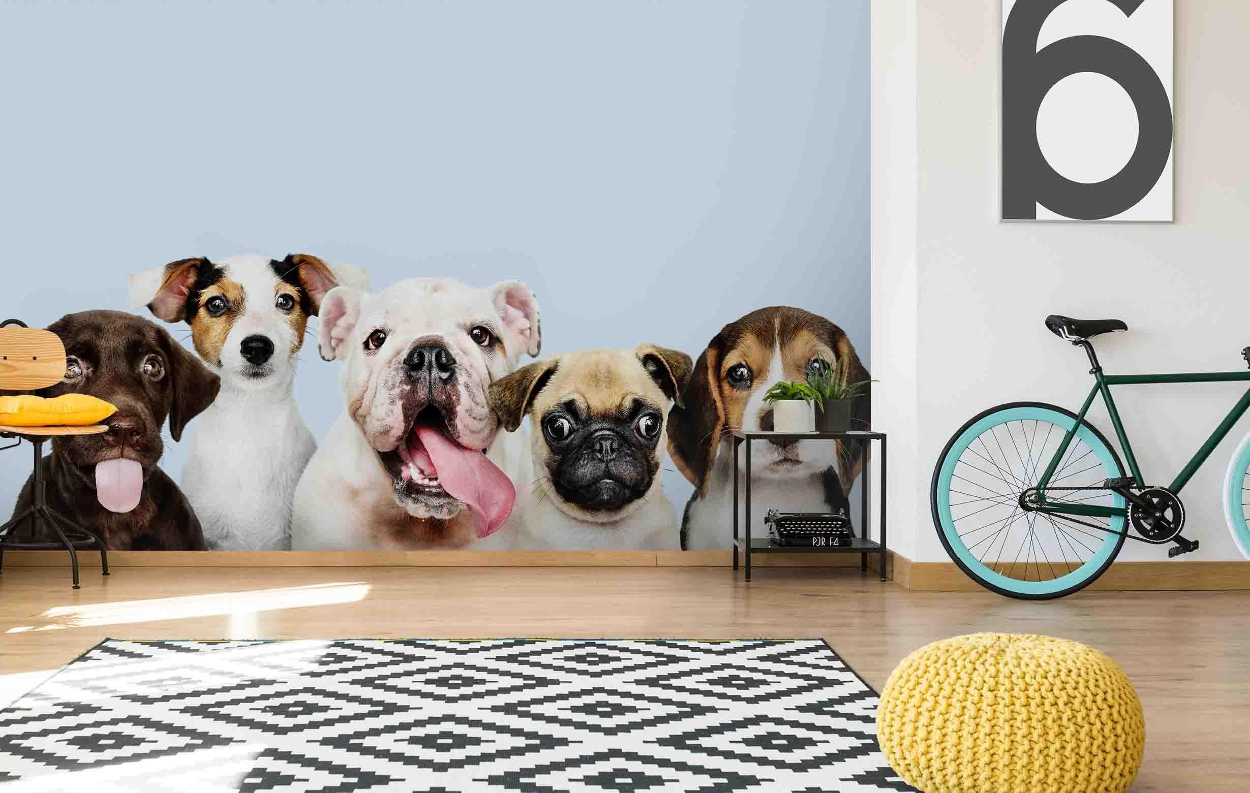 3D Cute Dog Portraits dog portrait animal mural wall mural wallpaper for kids room