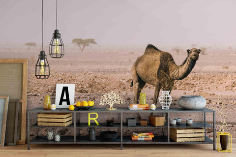 3D Camel Desert Wall Mural Wallpaper 23- Jess Art Decoration