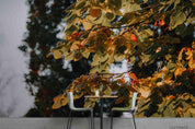 3D Autumn Yellow Leaf Photo Background Wall Mural Wallpaper SWW849- Jess Art Decoration