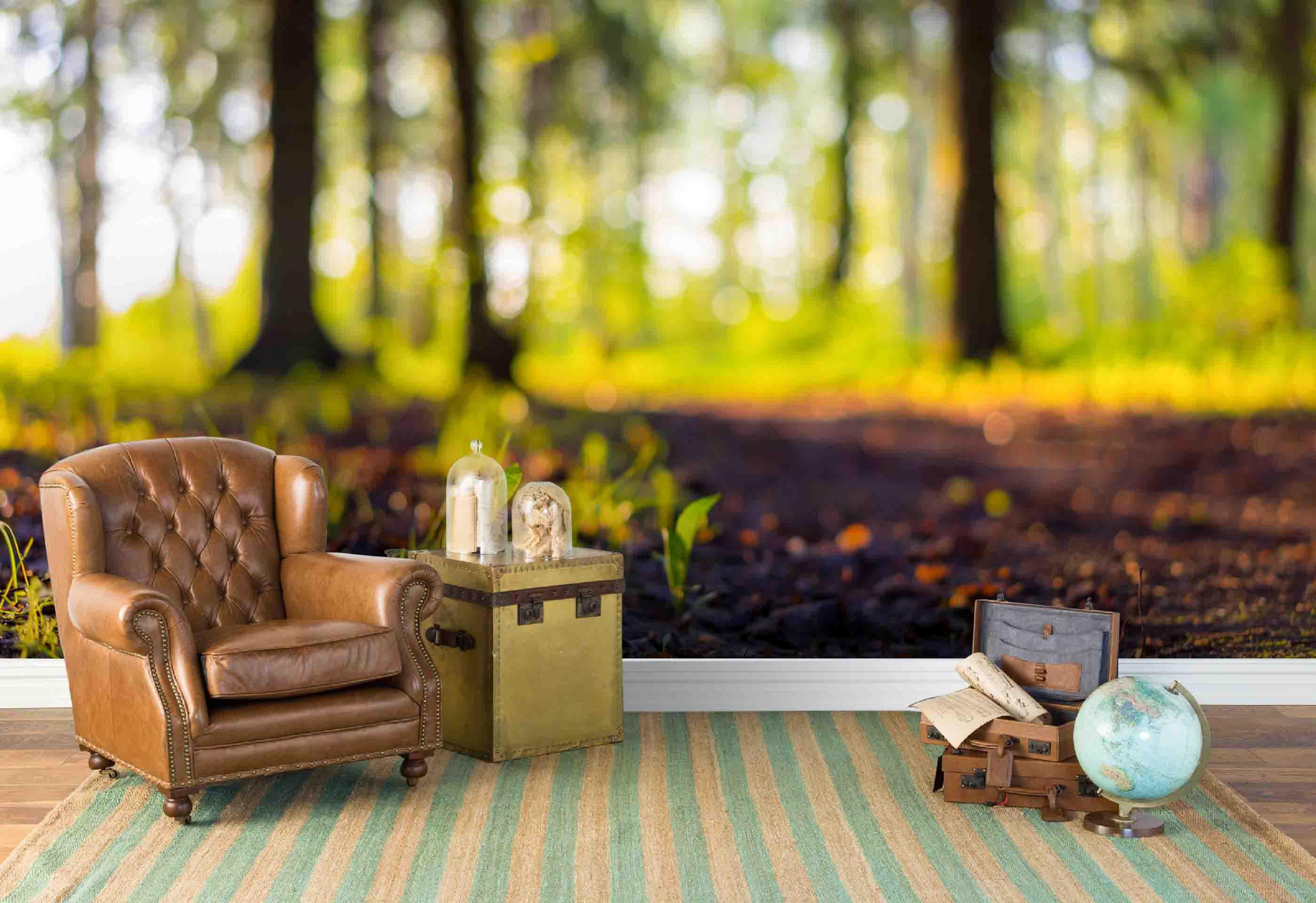 3D Jungle Hazy Wall Mural Wallpaper 58- Jess Art Decoration