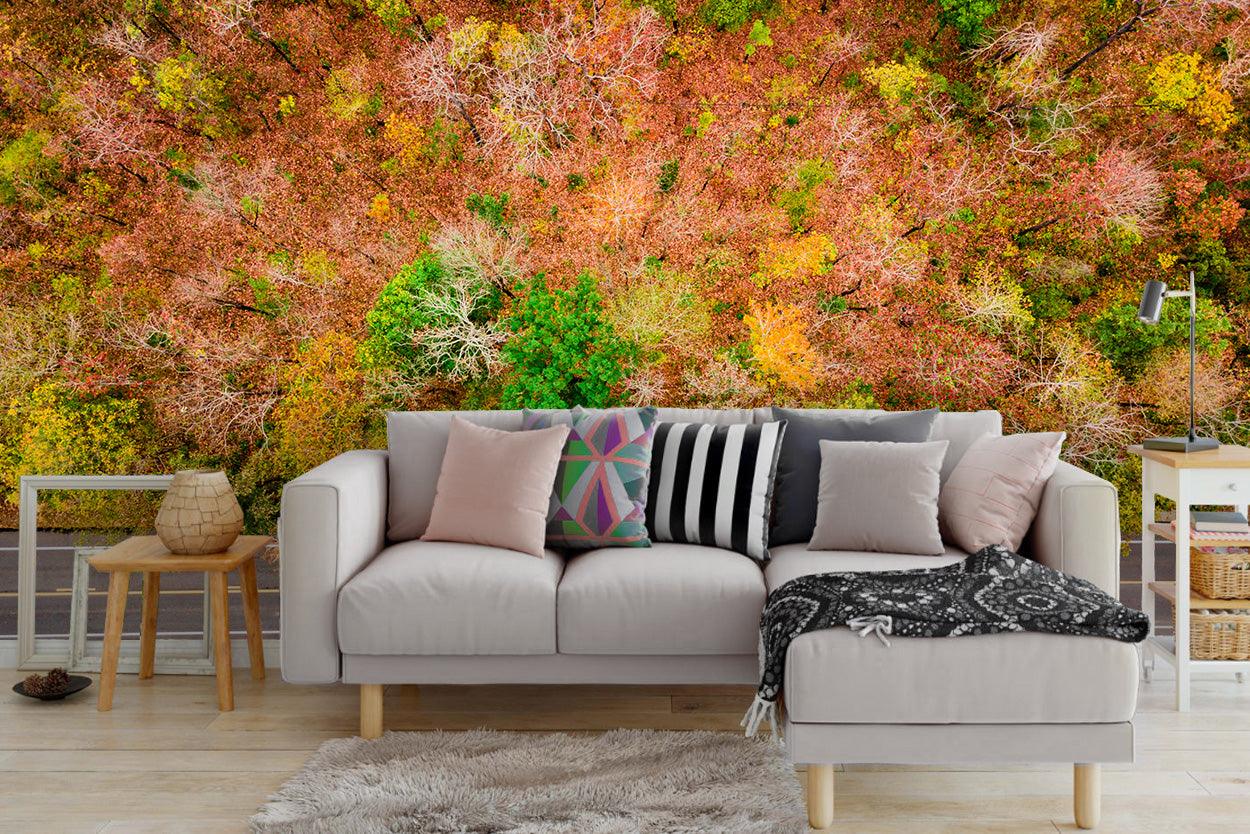 3D Forest Highway Fall Wall Mural Wallpaper 2- Jess Art Decoration