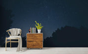 3D Beautiful Starry Sky Wall Mural Wallpa 151- Jess Art Decoration