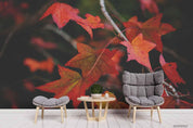 3D Landscape Leaves Maple Leaf Wall Mural Wallpaper WJ 6254- Jess Art Decoration