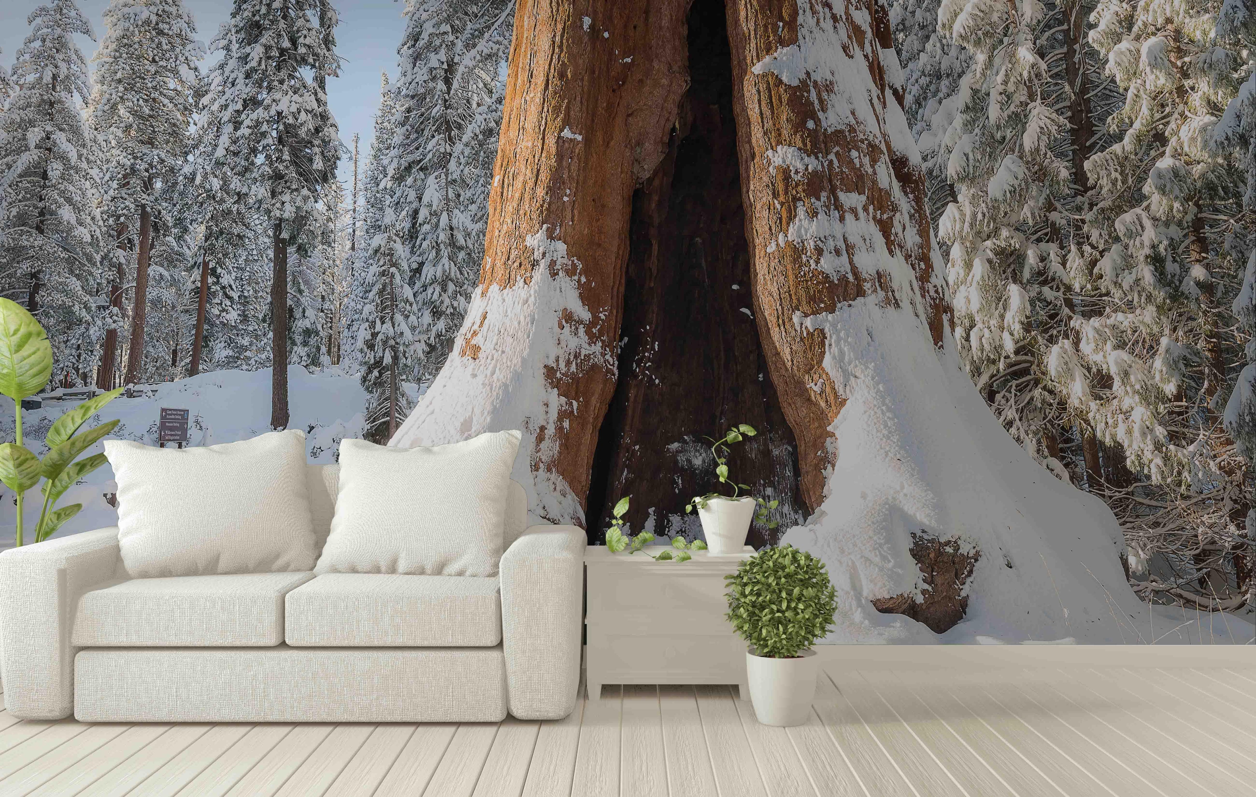3D snow forest wall mural wallpaper 25- Jess Art Decoration