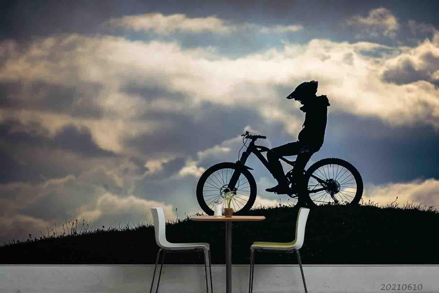 3D Dusk Ride Bike Silhouette Grassland Sky Wall Mural Wallpaper SWW1851- Jess Art Decoration