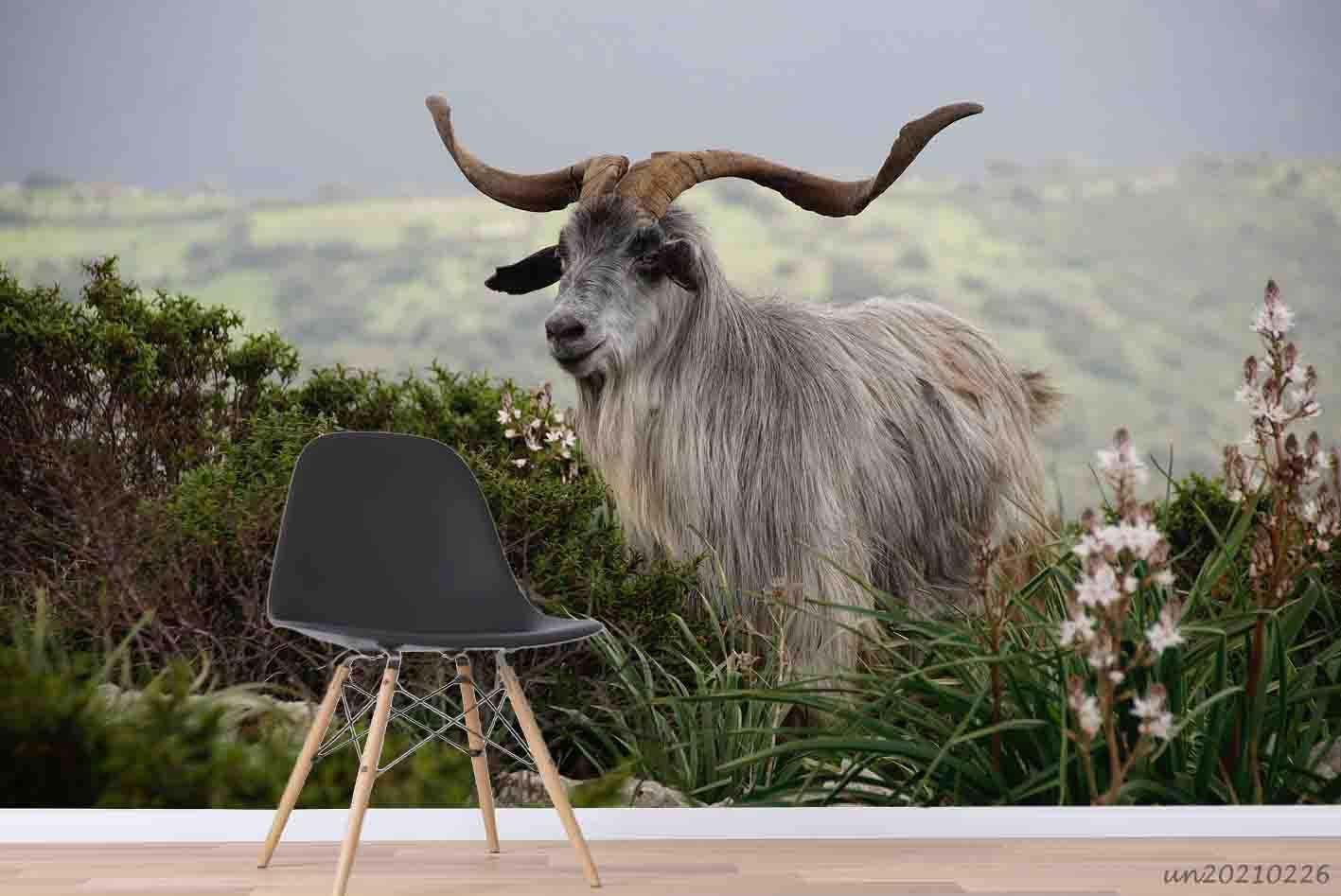 3D Wild Animal Antelope Wall Mural Wallpaper LQH 57- Jess Art Decoration