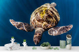 3D turtle swim blue sea wall mural wallpaper 96- Jess Art Decoration