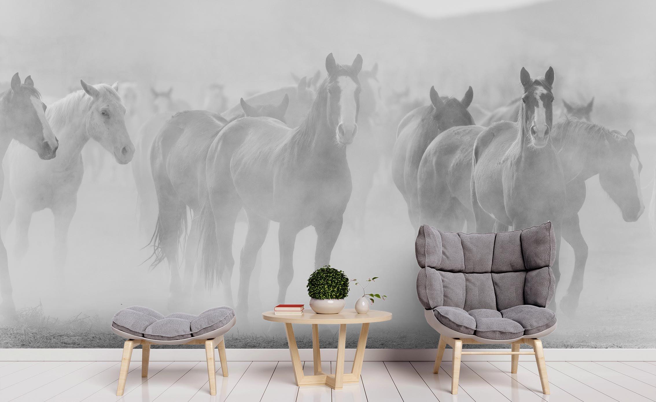 3D Grey Running Horse Wall Mural Wallpaper 10 LQH- Jess Art Decoration