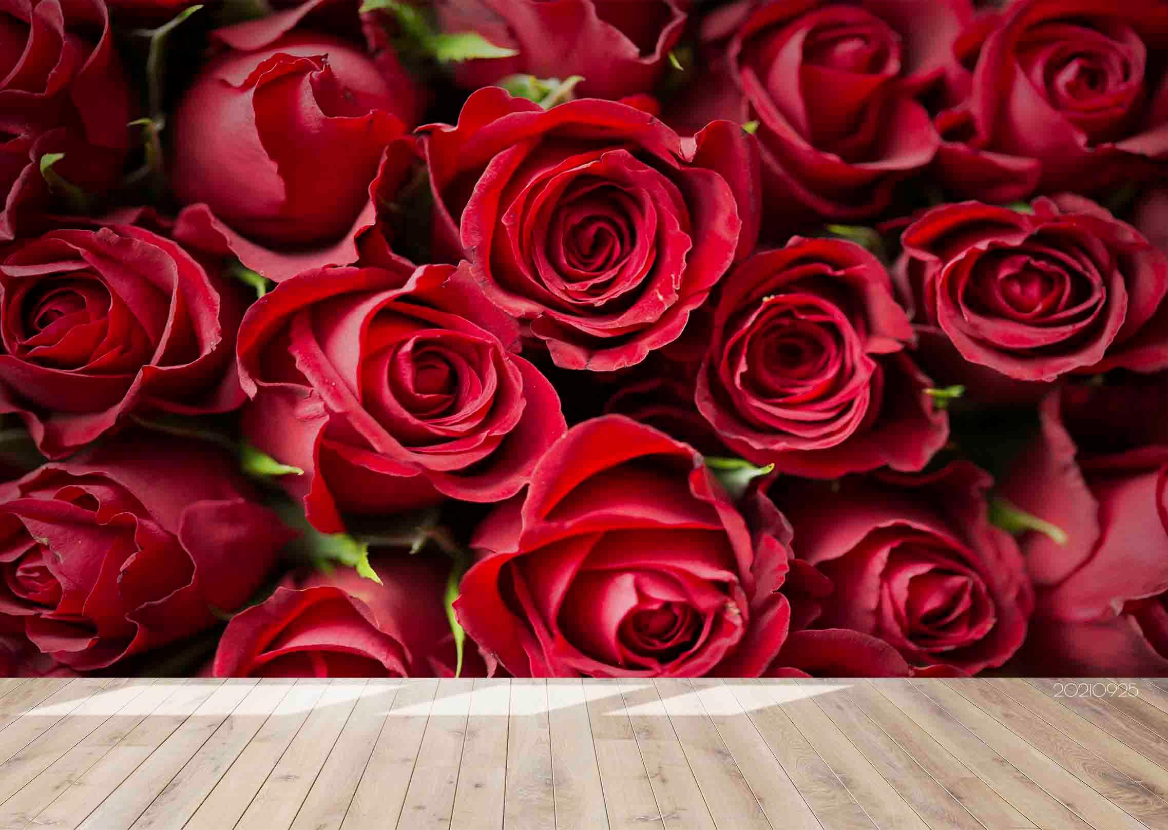 3D Red Rose Floral Wall Mural Wallpaper LQH 333- Jess Art Decoration