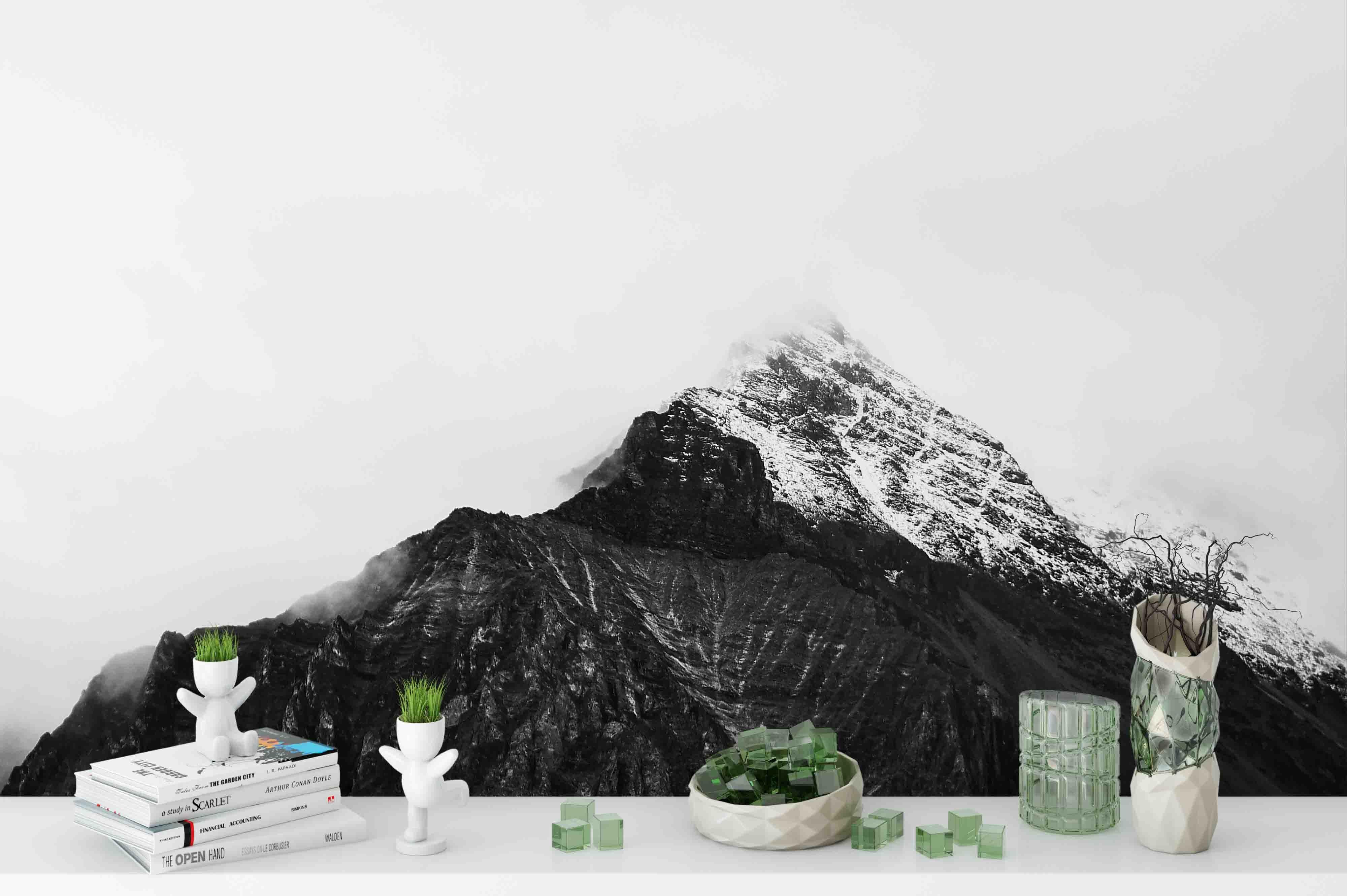 3D Snow Mountain Top Wall Mural Wallpaper sww 54- Jess Art Decoration