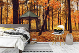 3D autumn sunny landscape wall mural wallpaper 12- Jess Art Decoration