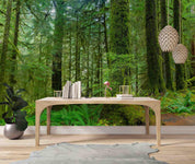 3D Hoh Rain Forest Landscape Wall Mural Wallpaper LQH 218- Jess Art Decoration