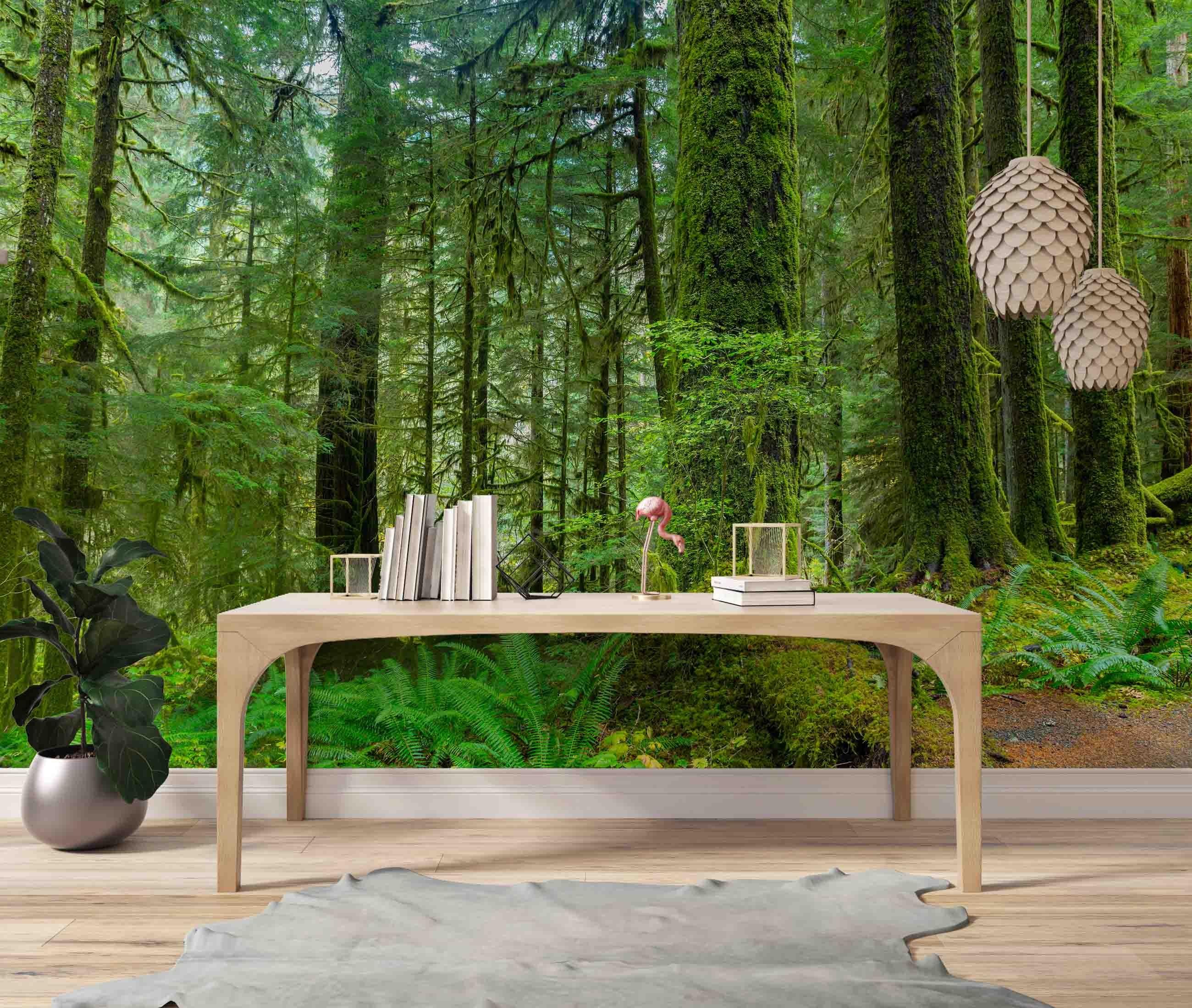 3D Hoh Rain Forest Landscape Wall Mural Wallpaper LQH 218- Jess Art Decoration