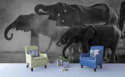 3D African Elephant Wall Mural Wallpaper  sww  226- Jess Art Decoration
