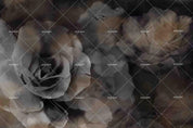 3D Retro Black Rose Wall Mural Wallpaper 108- Jess Art Decoration