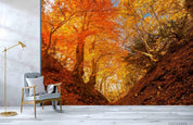 3D Autumn Forest Landscape Wall Mural Wallpaper LQH 682- Jess Art Decoration