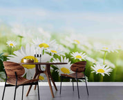 3D Beautiful White Flowers Daisy Wall Mural Wallpaper ZY D4- Jess Art Decoration
