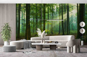 3D Summer Green Forest Sunshine Scenery Wall Mural Wallpaper GD 466- Jess Art Decoration