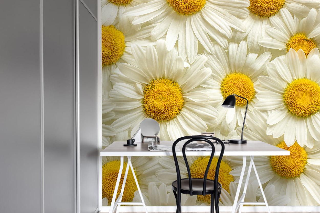 3D Daisy Flower Wall Mural Wallpaper 24- Jess Art Decoration