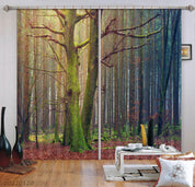 3D Autumn Forest Fallen Leaves Curtains and Drapes GD 1794- Jess Art Decoration
