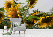 3D Sunflowers Wall Mural Wallpaper SF72- Jess Art Decoration