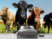 3D Farm Cow Grassland farm cow animal mural wall mural wallpaper for kids room - view 2