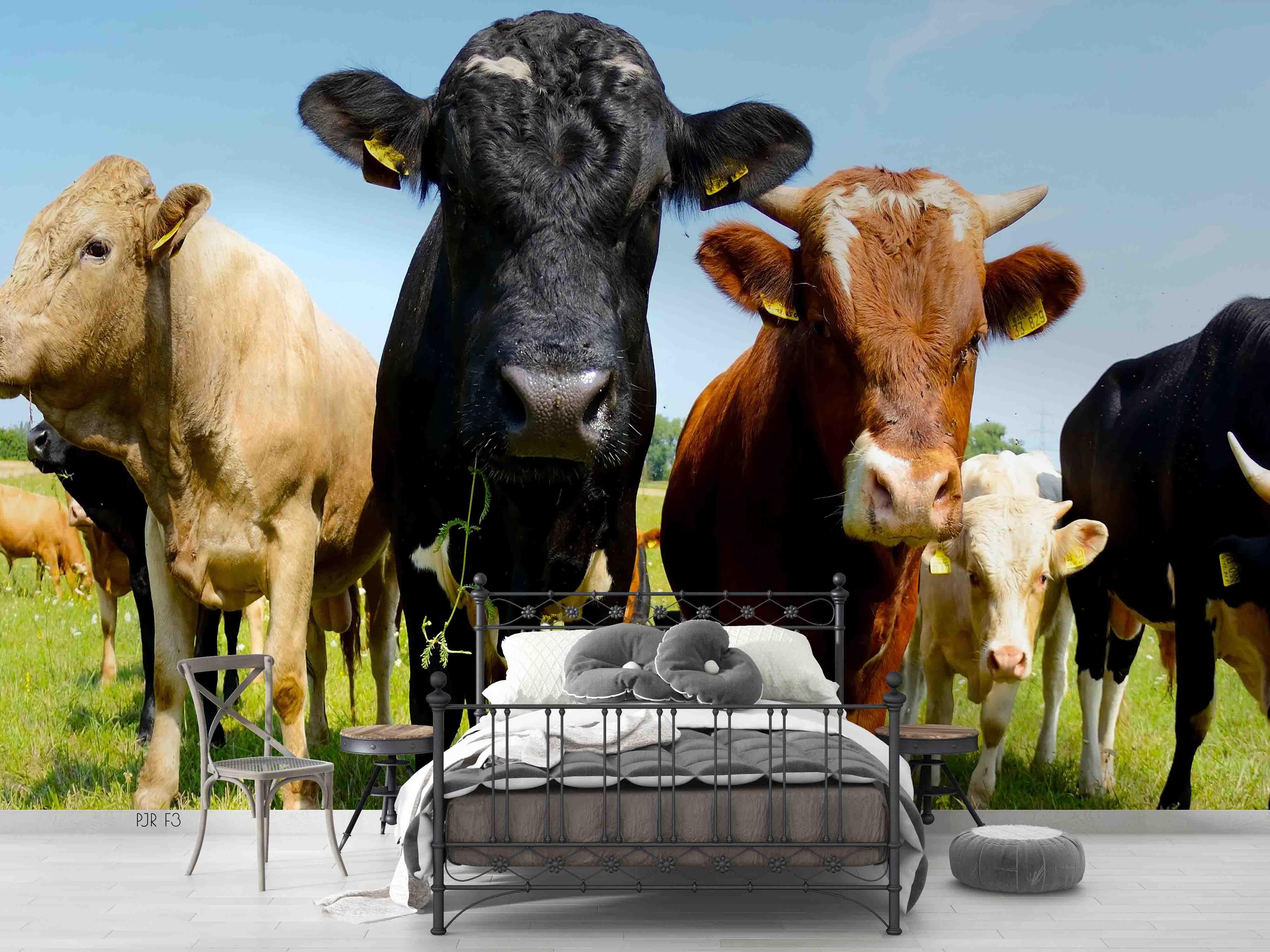 3D Farm Cow Grassland farm cow animal mural wall mural wallpaper for kids room - view 2