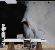 3D White Horse Black Background Wall Mural Wallpaper 08 LQH- Jess Art Decoration