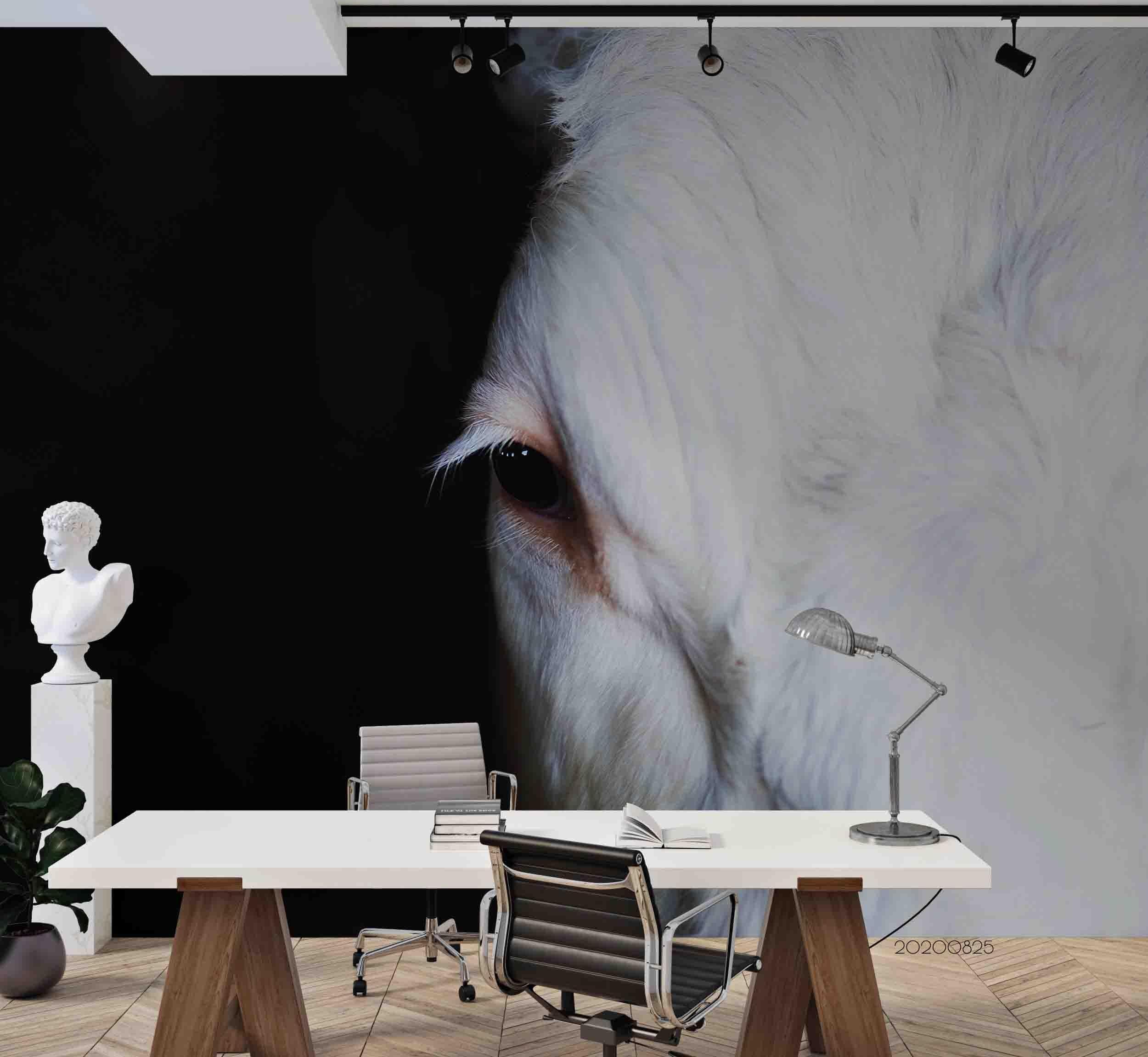3D White Horse Black Background Wall Mural Wallpaper 08 LQH- Jess Art Decoration