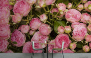 3D Pink Rose Floral Wall Mural Wallpaper LQH 497- Jess Art Decoration