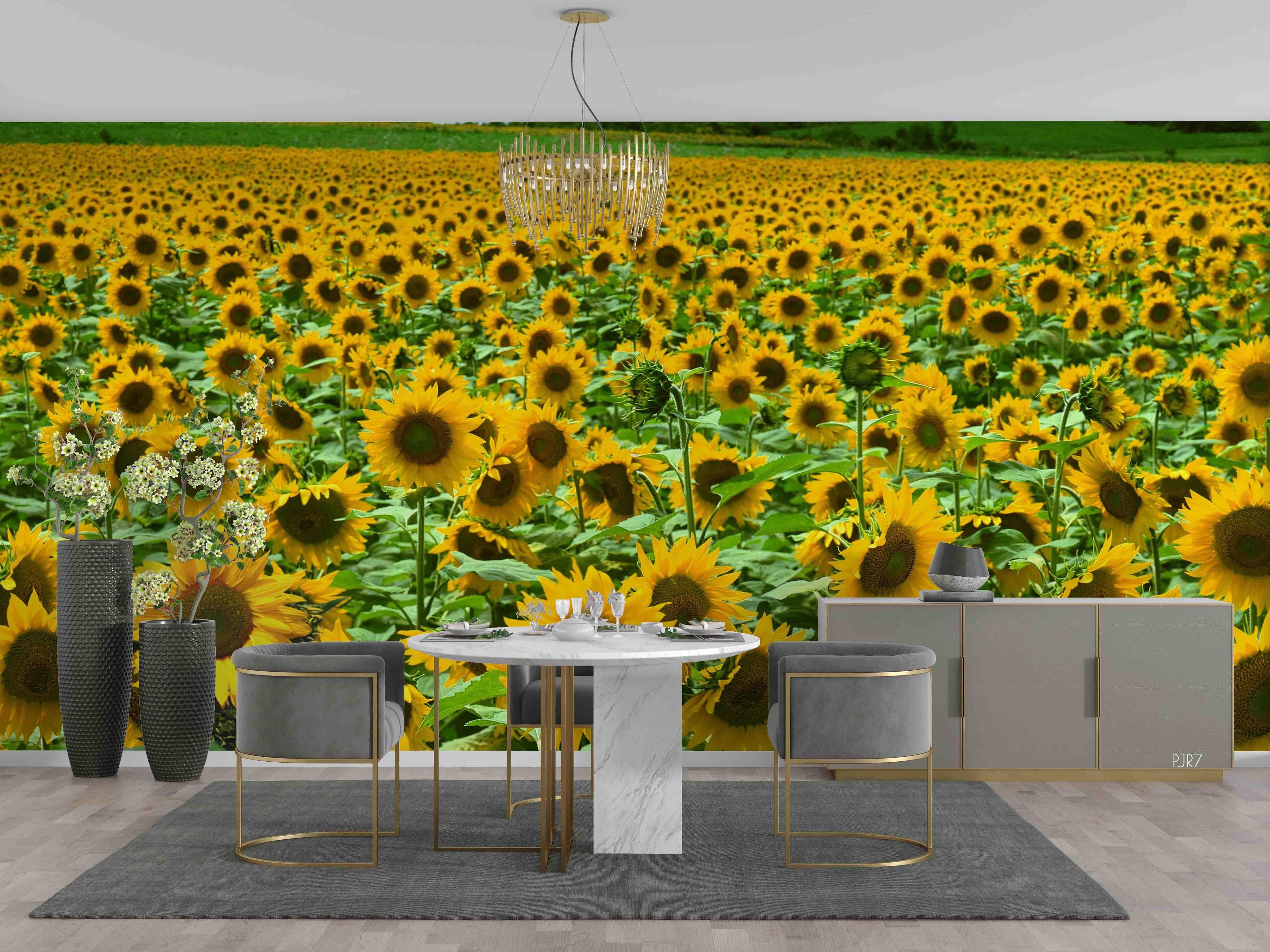 3D Sunflower Field bright sunflower landscape wall mural wallpaper for living room - view 2