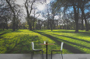 3D Woods Grassland Park Wall Mural Wallpaper SWW3896- Jess Art Decoration