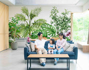 3D Tropic Plant Leaves Wall Mural Wallpaper SWW 192- Jess Art Decoration