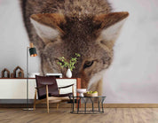 3D Wolf Animal Wall Mural Wallpaper SF43- Jess Art Decoration