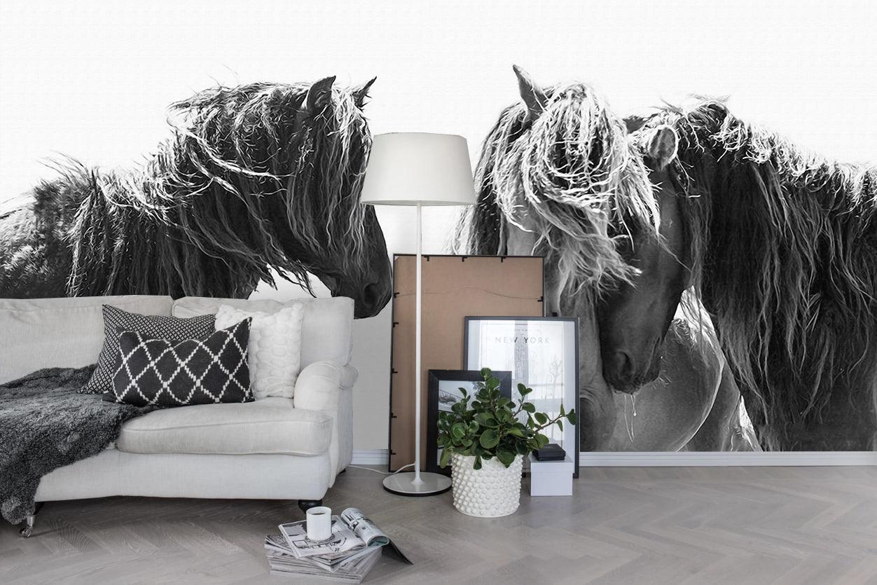 3D black white grassland horse wall mural wallpaper 46- Jess Art Decoration