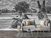 3D Grassland Giraffe Grey Wall Mural Wallpaper SWW1727- Jess Art Decoration