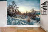 3D Snow Forest Sky Wall Mural Wallpaper 59- Jess Art Decoration