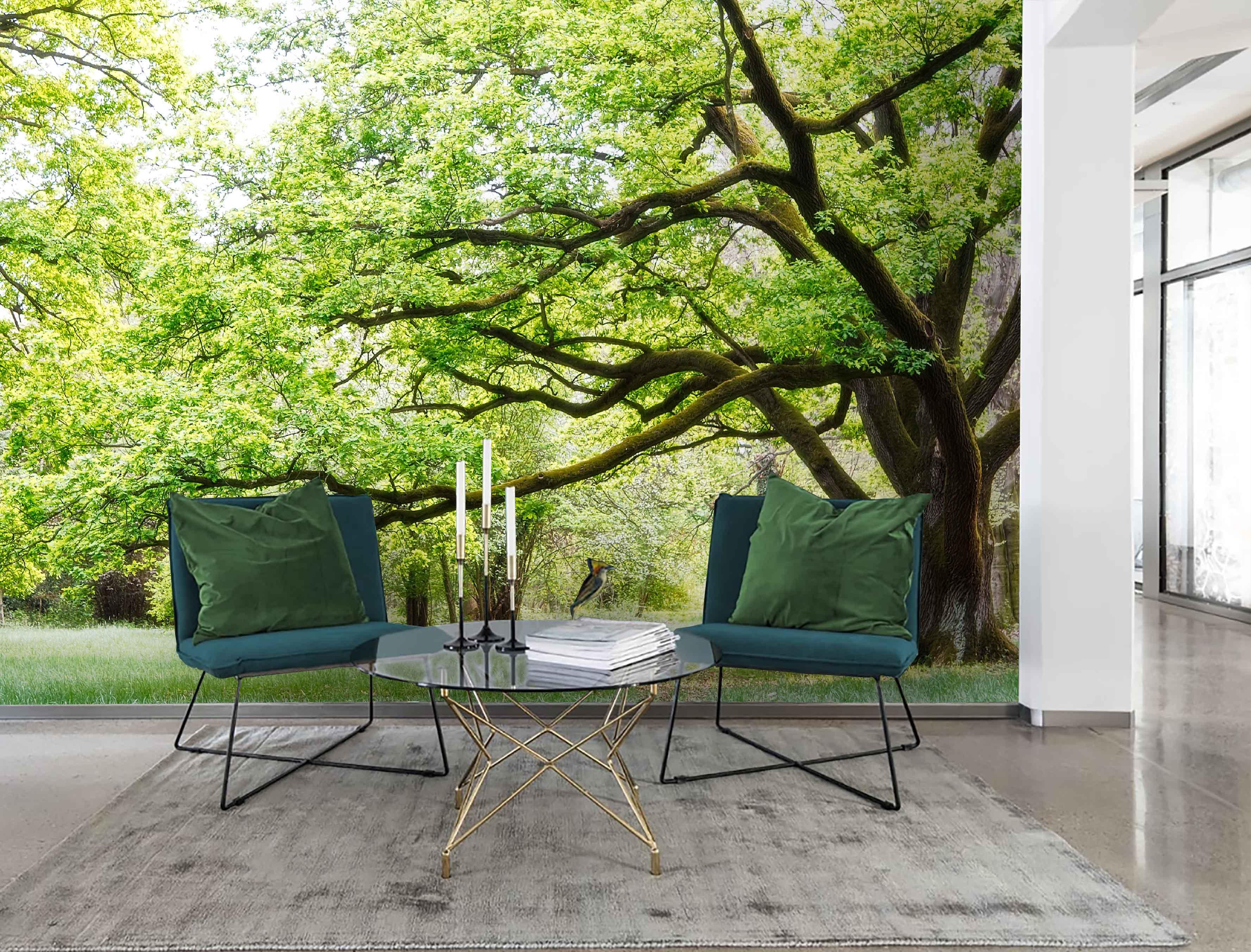 3D Green Bright Forest Wall Mural Wallpaper 05- Jess Art Decoration