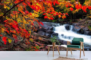 3D Forest Stream Maple Leaf Wall Mural Wallpaper LQH 15- Jess Art Decoration