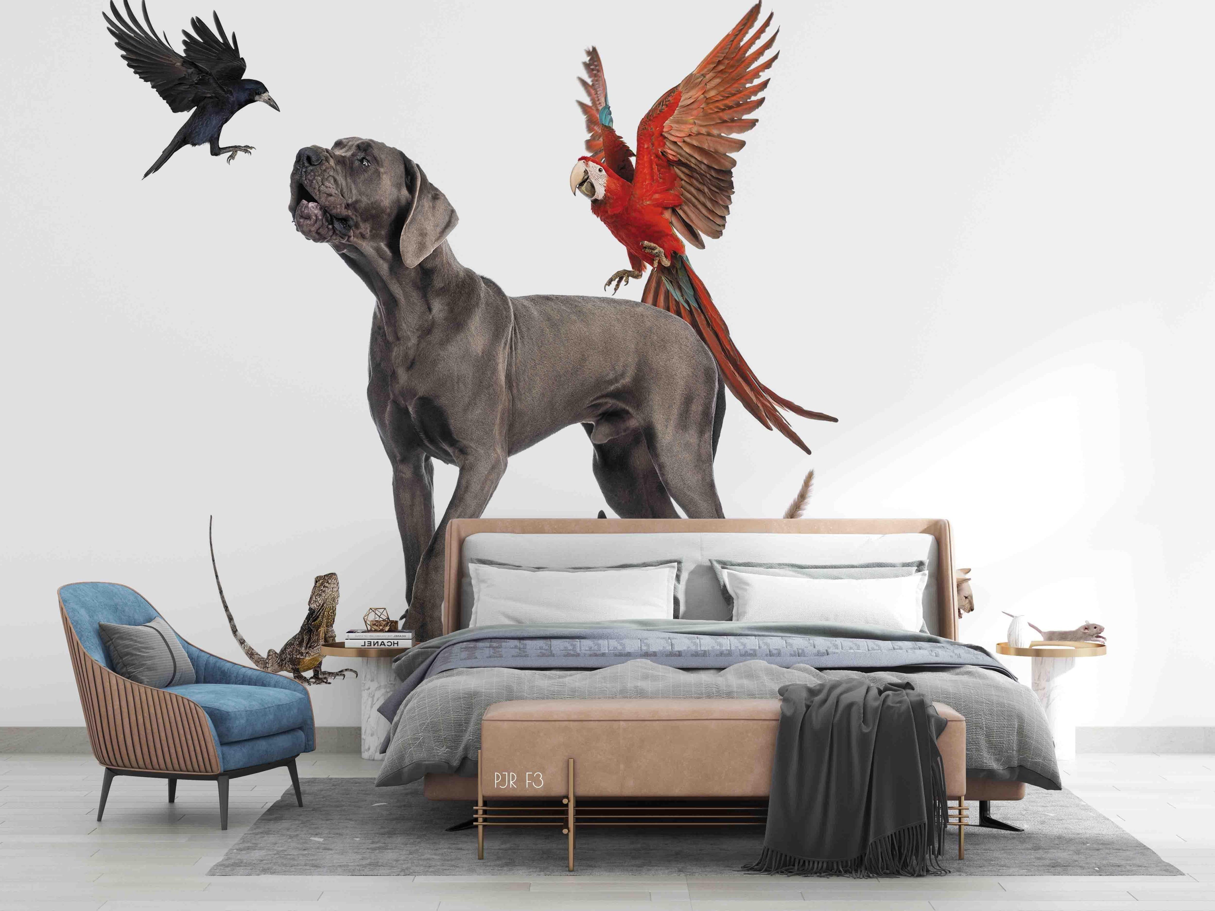 3D Dog Colorful Parrot Animal Wall Mural Wallpaper LXL 11- Jess Art Decoration