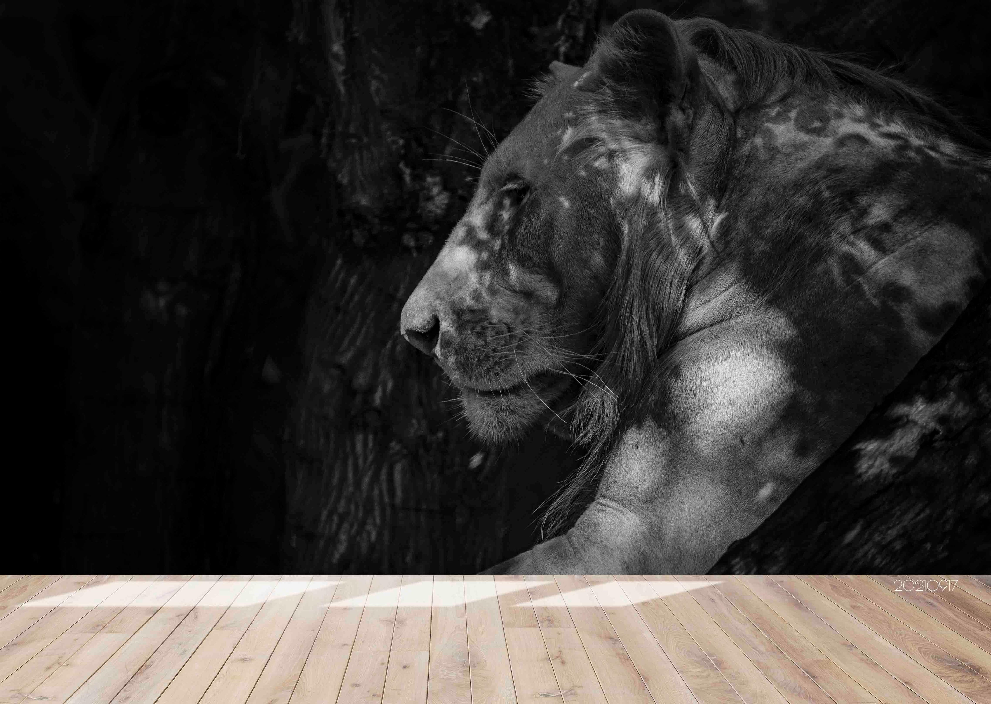 3D Animal Tiger Black Wall Mural Wallpaper LQH 56- Jess Art Decoration
