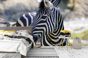 3D beautiful african zebra outdoor wall mural wallpaper 2- Jess Art Decoration