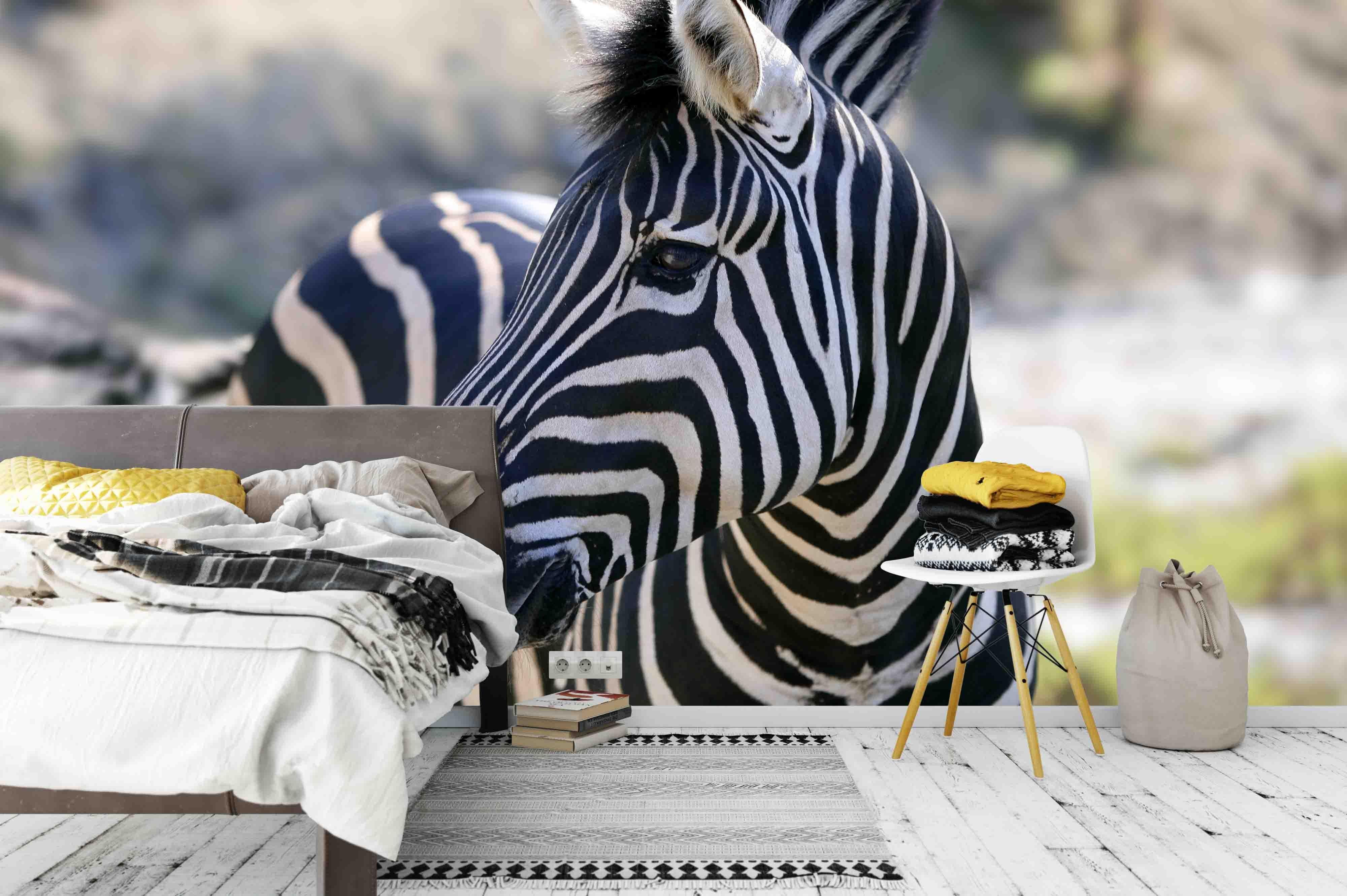 3D beautiful african zebra outdoor wall mural wallpaper 2- Jess Art Decoration
