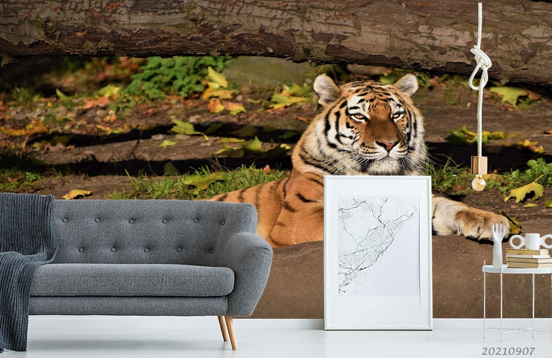 3D Forest Animal Tiger Wall Mural Wallpaper LQH 174- Jess Art Decoration