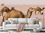 3D Camel Desert Wall Mural Wallpaper 22- Jess Art Decoration