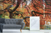 3D Big Red Maple Wall Mural Wallpaper SWW176- Jess Art Decoration
